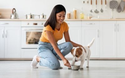 Tips to Keep Your Pet at a Healthy Weight